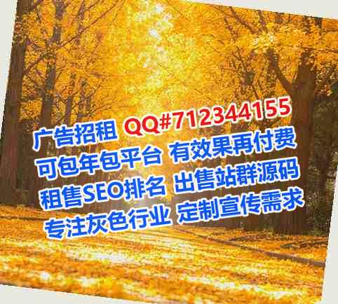 武陵源代母网络公司
